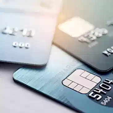 Banka Hesap Numaralari