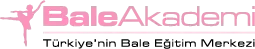 Bale Akademi
