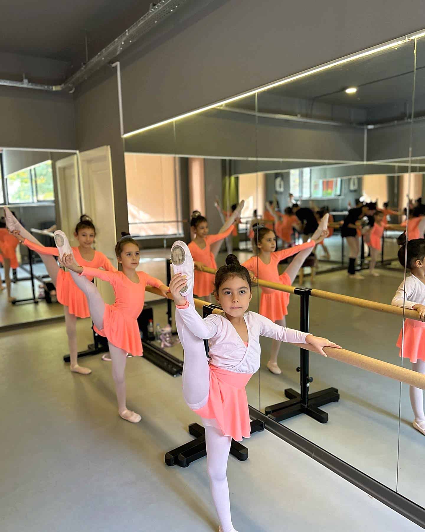 Cankaya Bale Kurslari