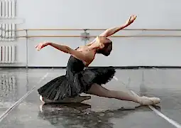 Görsel ALT Başlığı